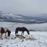 Passeggiata a Cavallo a Umbertide in Umbria