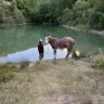 Passeggiata a Cavallo a Umbertide in Umbria