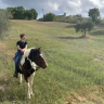 Passeggiata a Cavallo a Umbertide in Umbria