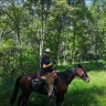 Passeggiata a Cavallo ad Avigliana