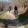 Passeggiata a Cavallo ad Avigliana