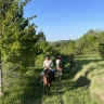 Passeggiata a Cavallo ai piedi della Majella