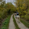 Passeggiata a Cavallo ai piedi della Majella