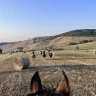 Passeggiata a Cavallo ai piedi della Majella