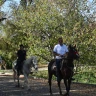 Passeggiata a Cavallo ai piedi della Majella