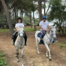 Passeggiata a Cavallo di 2 ore nella Riserva di Torre Salsa