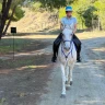 Passeggiata a Cavallo di 2 ore nella Riserva di Torre Salsa