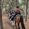 Passeggiata a Cavallo di 2 ore nella Riserva di Torre Salsa