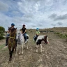 Passeggiata a Cavallo di 2 ore nella Riserva di Torre Salsa