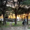 Passeggiata a Cavallo di 2 ore nella Riserva di Torre Salsa