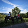 Passeggiata a Cavallo in Val Noveglia