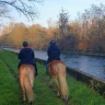 Passeggiata a Cavallo nel parco del Ticino vicino Milano