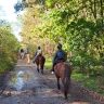 Passeggiata a Cavallo nel parco del Ticino vicino Milano