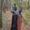 Passeggiata a Cavallo nel parco del Ticino vicino Milano