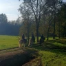 Passeggiata a Cavallo nel parco del Ticino vicino Milano