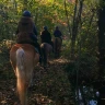 Passeggiata a Cavallo nel parco del Ticino vicino Milano