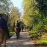 Passeggiata a Cavallo nel parco del Ticino vicino Milano