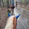 Passeggiata a Cavallo nel parco del Ticino vicino Milano