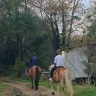 Passeggiata a Cavallo nel parco del Ticino vicino Milano