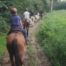 Passeggiata a Cavallo nel parco del Ticino vicino Milano