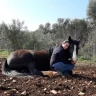 Passeggiata a Cavallo nel Parco Nazionale del Gargano