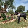 Passeggiata a Cavallo nel Parco Nazionale del Gargano