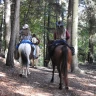 Passeggiata a Cavallo sul Monte Gaggio in Trentino