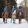 Passeggiata a Cavallo sul Monte Gaggio in Trentino