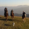 Passeggiata a Cavallo sull'Appennino Tosco Emiliano