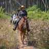 Passeggiata a Cavallo tra Sorrento e Costiera Amalfitana