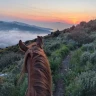 Passeggiata a Cavallo tra Sorrento e Costiera Amalfitana