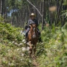 Passeggiata a Cavallo tra Sorrento e Costiera Amalfitana