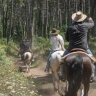 Passeggiata a Cavallo tra Sorrento e Costiera Amalfitana