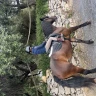 Passeggiata a Cavallo vista mare a Pietra Ligure