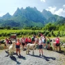 Passeggiata con gli Alpaca a Losine in Val Camonica