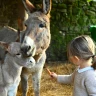 Passeggiata in sella ai Pony vicino Firenze