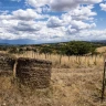 Pic-Nic Romantico in Starsbox nella Maremma Toscana