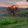 Pic-Nic Romantico in Starsbox nella Maremma Toscana