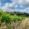 Pic-Nic Romantico in Starsbox nella Maremma Toscana