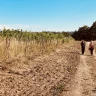 Pic-Nic Romantico in Starsbox nella Maremma Toscana