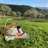 Picnic in Fattoria vicino Firenze