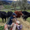 Picnic in Fattoria vicino Firenze