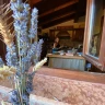 Pranzo in Home Restaurant con vista sul Castello di Canossa