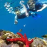 Snorkeling tour alle Isole Ciclopiche