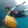 Snorkeling tour alle Isole Ciclopiche