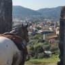 Soggiorno "Di Vino" a Sarzana in Liguria