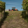 Soggiorno Relax al Podere di Marfisa