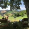 Tenda Glamping nel Parco dei Monti Sibillini