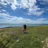 Tour in E-Bike e Snorkeling a Torre Guaceto in Salento