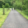 Tour in E-Bike in Val Camonica